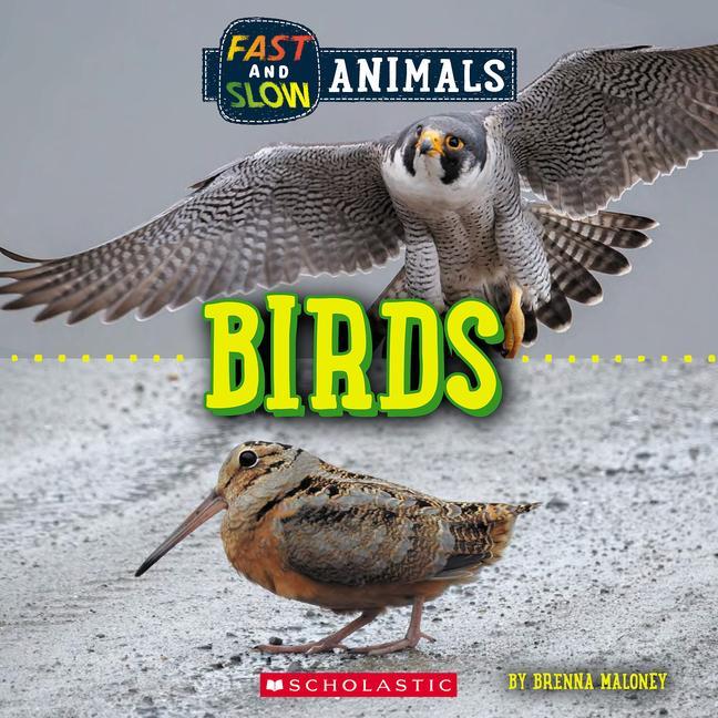 Carte Fast and Slow: Birds (Wild World) 