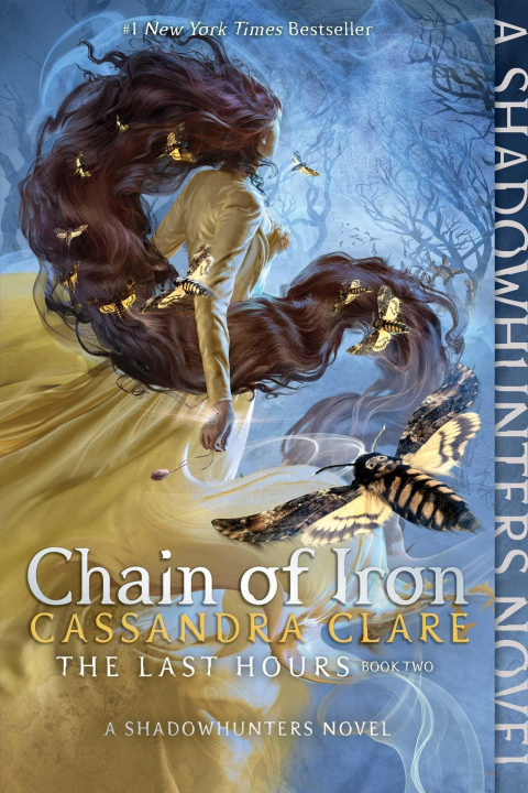 Könyv Chain of Iron 