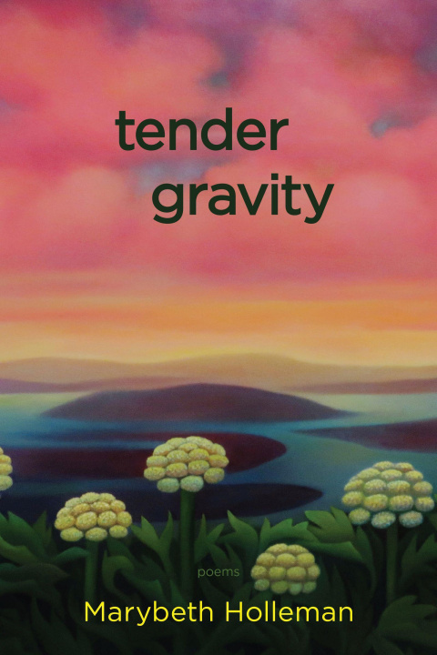 Book tender gravity Marybeth Holleman