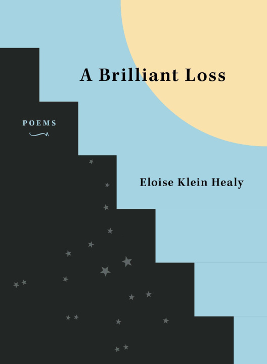 Buch Brilliant Loss Eloise Klein Healy