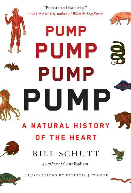 Livre Pump: A Natural History of the Heart 