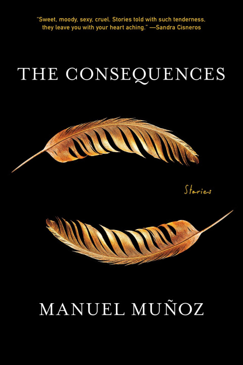 Knjiga The Consequences: Stories Muńoz