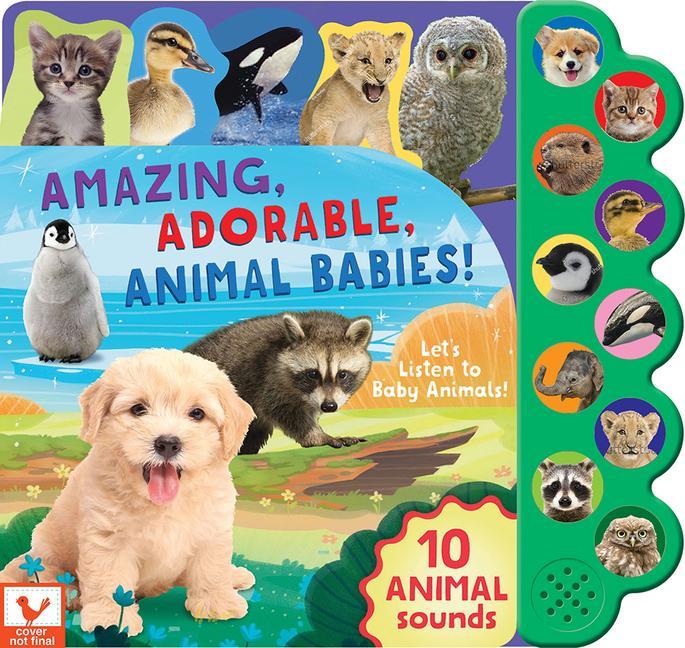 Книга Amazing, Adorable Animal Babies! 