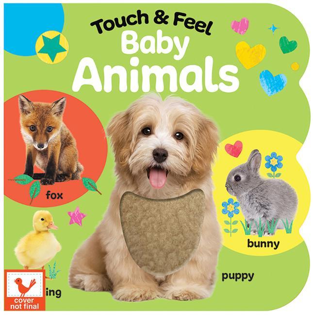 Carte Touch & Feel Baby Animals Fhiona Galloway