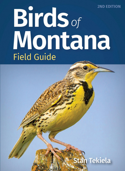 Könyv Birds of Montana Field Guide 