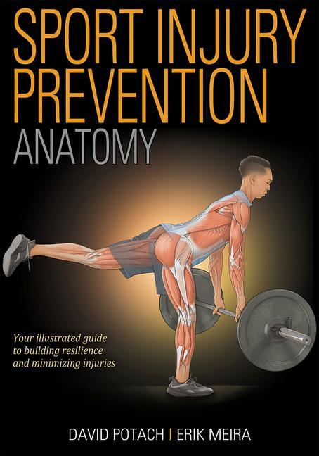 Kniha Sport Injury Prevention Anatomy Erik Meira