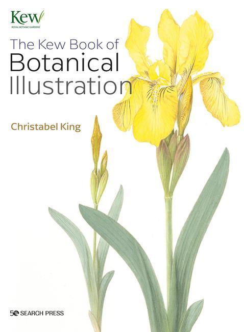 Книга Kew Book of Botanical Illustration (paperback edition) 