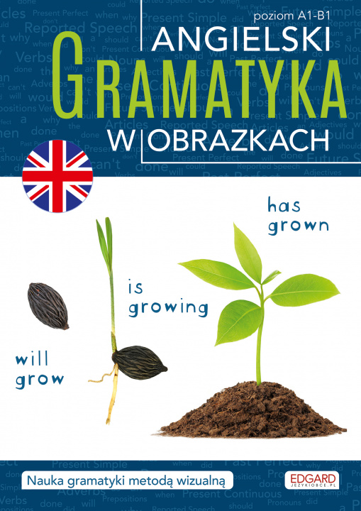 Könyv Angielski. Gramatyka w obrazkach Opracowanie zbiorowe