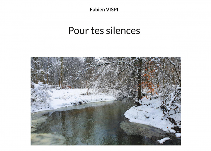 Kniha Pour tes silences 