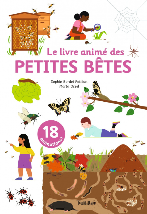 Kniha Le livre animé des petites bêtes Sophie Bordet-Petillon