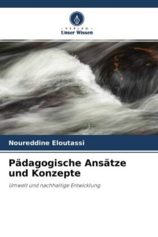 Knjiga Pädagogische Ansätze und Konzepte Noureddine Eloutassi