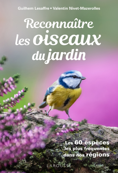 Kniha Reconnaitre les Oiseaux du jardin Guilhem Lesaffre