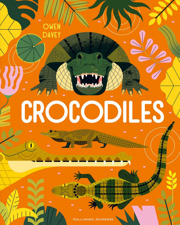 Kniha Crocodiles OWEN DAVEY