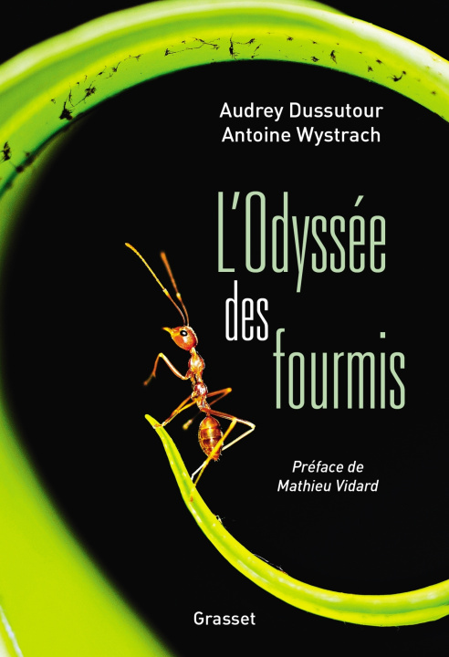 Книга L'Odyssée des fourmis Audrey Dussutour