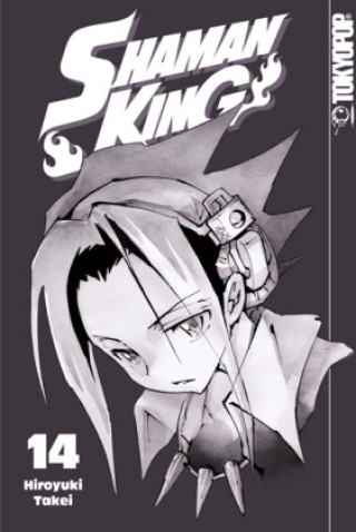 Kniha Shaman King 14 Hirofumi Yamada