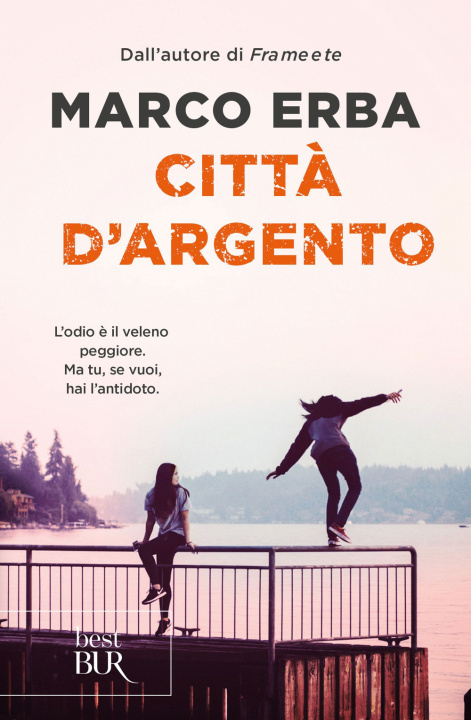 Book Città d'argento Marco Erba