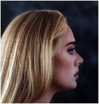Audio 30, 2 Schallplatte Adele