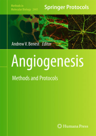 Knjiga Angiogenesis Andrew V. Benest