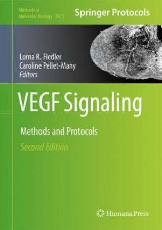 Livre VEGF Signaling Lorna R. Fiedler