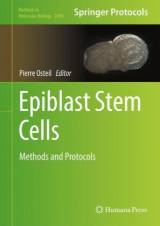 Knjiga Epiblast Stem Cells Pierre Osteil