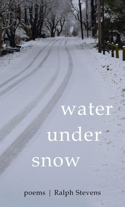 Buch Water Under Snow Ralph Stevens