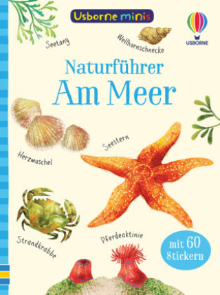 Carte Usborne Minis Naturführer: Am Meer Sam Smith