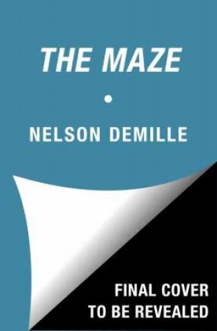 Kniha Maze Nelson DeMille