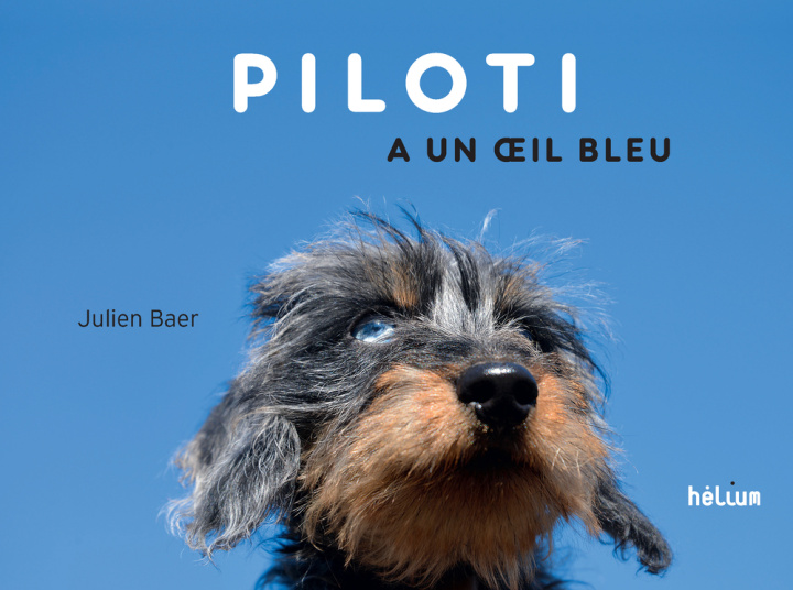 Knjiga Piloti a un oeil bleu BAER JULIEN