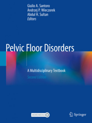 Kniha Pelvic Floor Disorders, 2 Teile Giulio A. Santoro