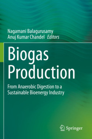 Kniha Biogas Production Nagamani Balagurusamy