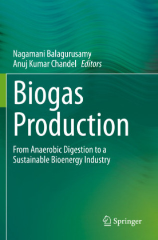 Książka Biogas Production Nagamani Balagurusamy