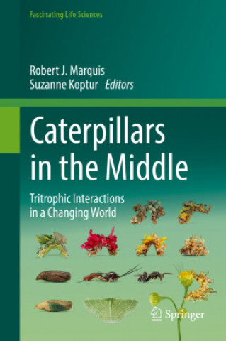 Kniha Caterpillars in the Middle Robert J. Marquis