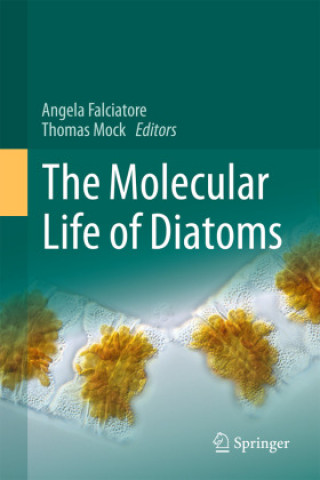 Kniha Molecular Life of Diatoms Angela Falciatore