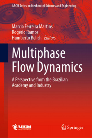 Knjiga Multiphase Flow Dynamics Marcio Ferreira Martins
