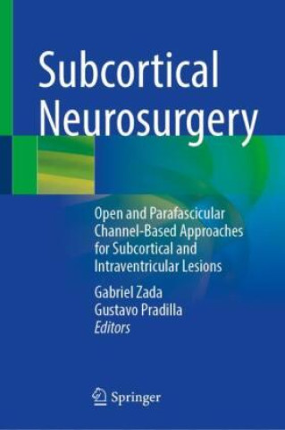 Buch Subcortical Neurosurgery Gabriel Zada