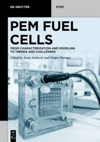 Książka PEM Fuel Cells Jasna Jankovic