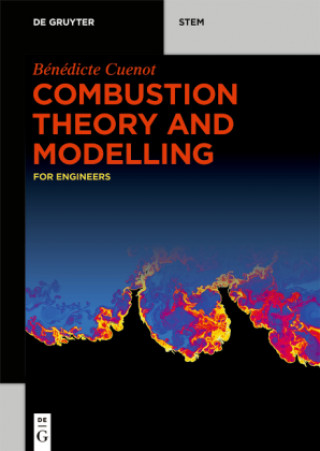 Kniha Combustion Theory and Modelling Bénédicte Cuenot