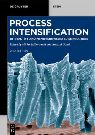 Книга Process Intensification Mirko Skiborowski