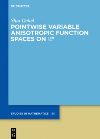 Knjiga Pointwise Variable Anisotropic Function Spaces on  n Shai Dekel