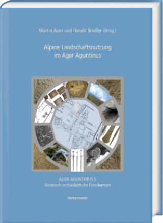 Kniha Alpine Landschaftsnutzung im Ager Aguntinus Martin Auer