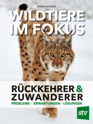 Książka Wildtiere im Fokus Bruno Hespeler
