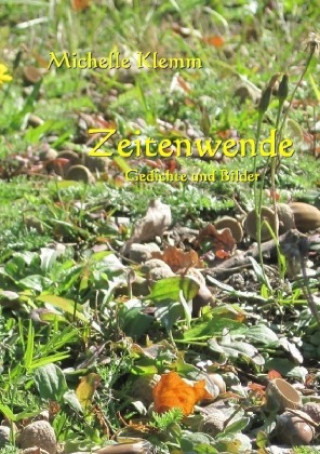Buch Zeitenwende Michelle Klemm