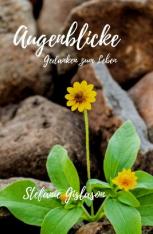 Knjiga Augenblicke Stefanie Gislason