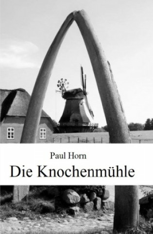 Boek Die Knochenmühle Paul Horn