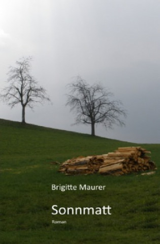 Buch Sonnmatt Brigitte Maurer