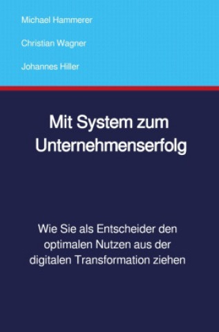 Kniha Mit System zum Unternehmenserfolg Michael Hammerer