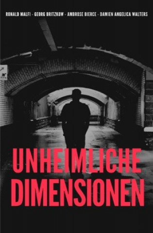 Libro Unheimliche Dimensionen Ronald Malfi