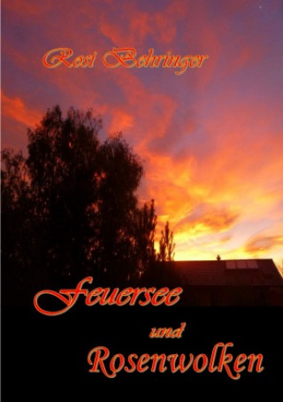 Boek Feuersee und Rosenwolken Rosi Behringer