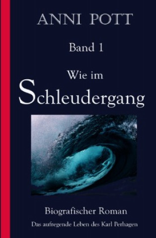 Buch Wie im Schleudergang Anni Pott