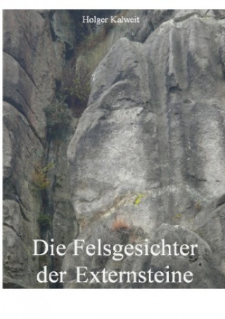 Kniha Die Felsgesichter der Externsteine Holger Kalweit
